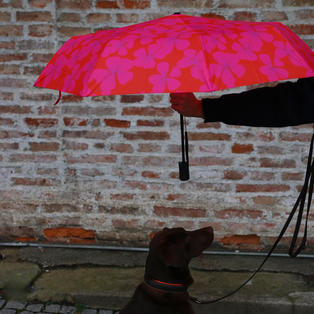 Easy Umbrella Primel