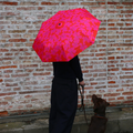 Easy Umbrella Primel