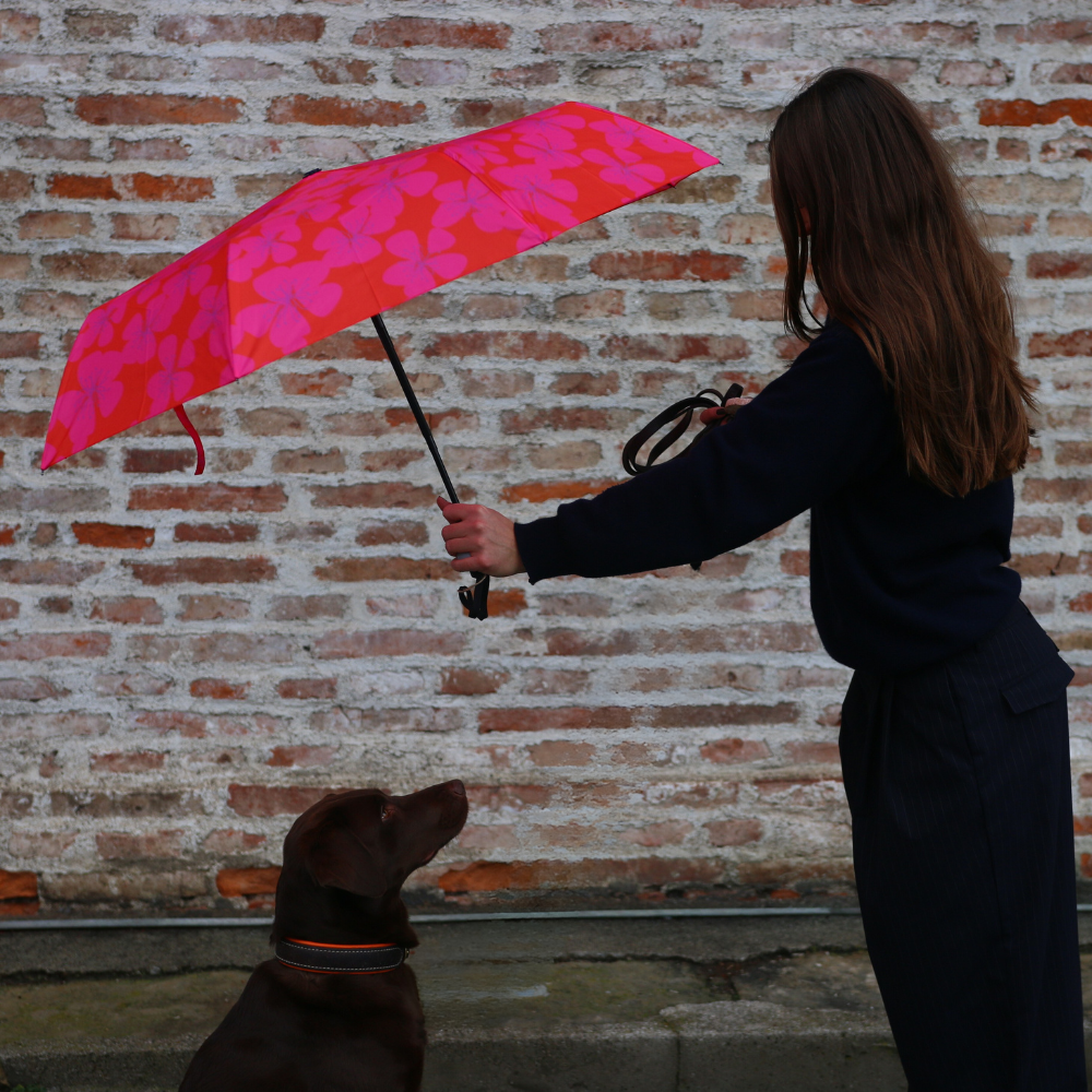Easy Umbrella Primel